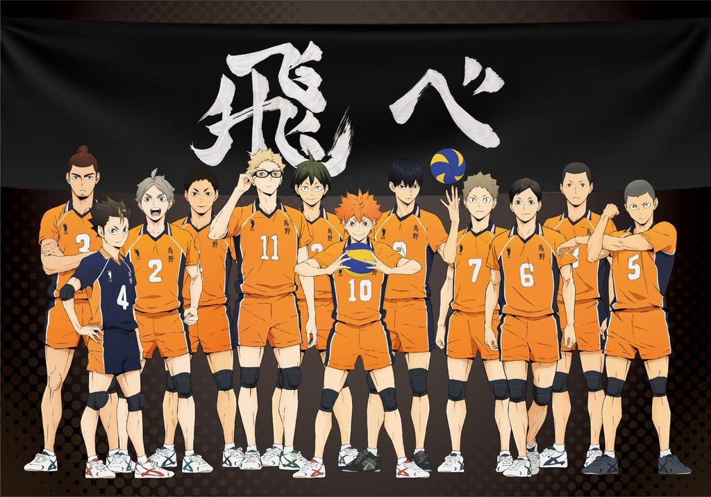 Karasuno gagne les nationales ?