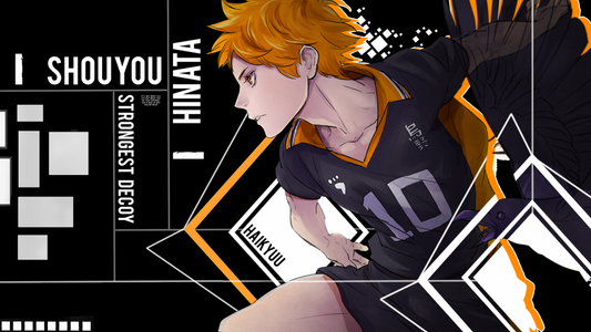 Tout sur Hinata Shouyou