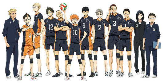 Haikyuu Karasuno
