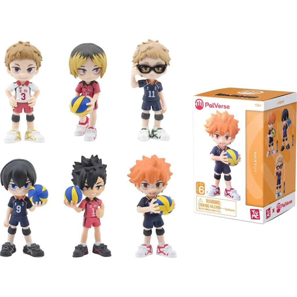 Mystery Box Haikyuu