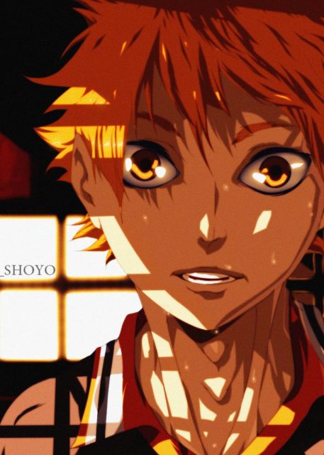 Poster Haikyuu Lycée de Karasuno Hinata - Haikyuu Shop